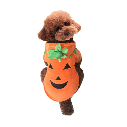 OMNI™ Pets Halloween Pumpkin Costume