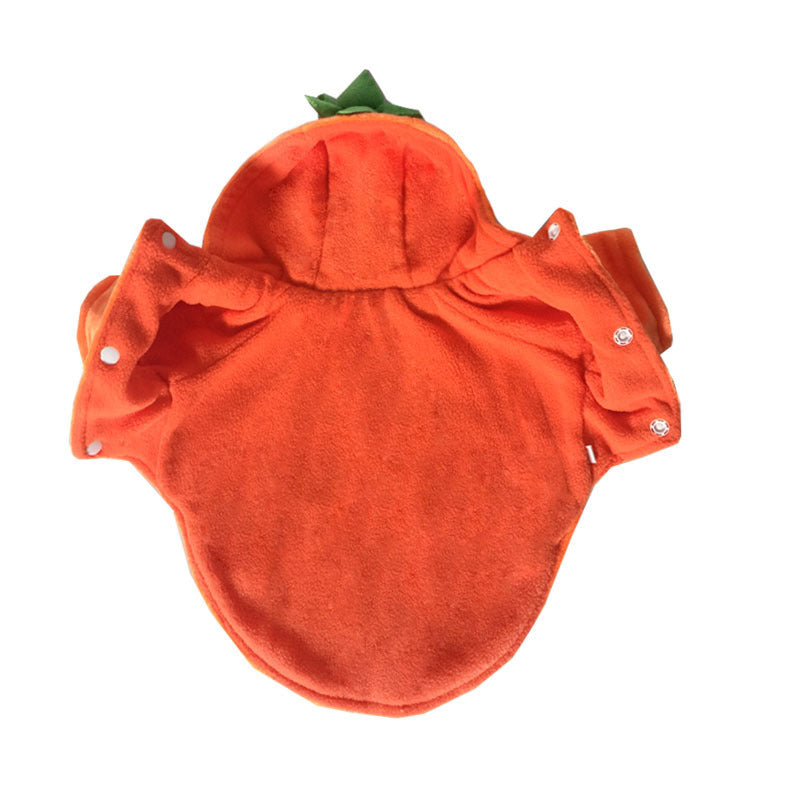 OMNI™ Pets Halloween Pumpkin Costume