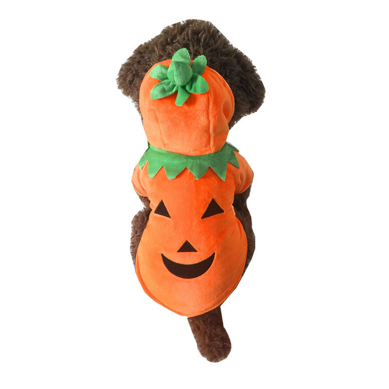 OMNI™ Pets Halloween Pumpkin Costume