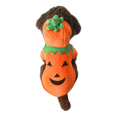 OMNI™ Pets Halloween Pumpkin Costume