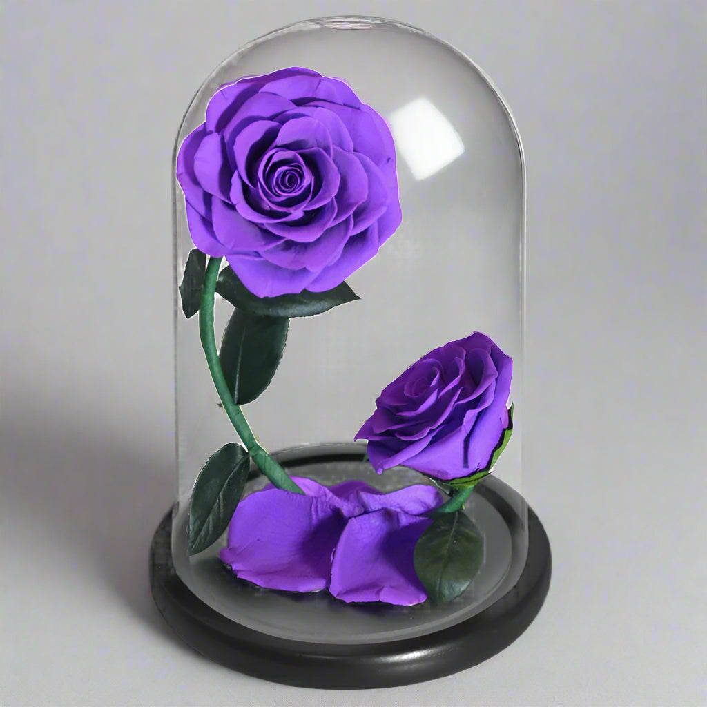 OMNI™ The Enchanted Rose of Evermore