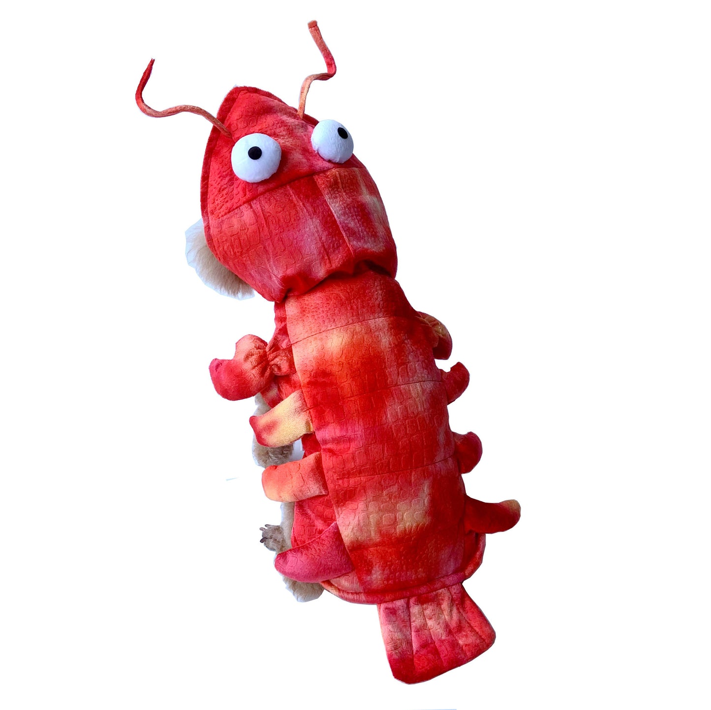 OMNI™ Pets Lobster Costume