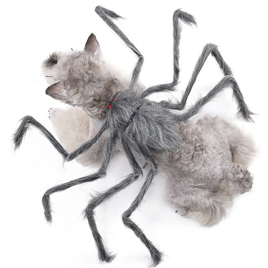 OMNI™ Halloween Big Spider Pet Costume