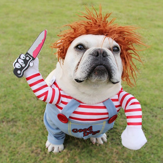 OMNI™ Chucky Halloween Pet Costume