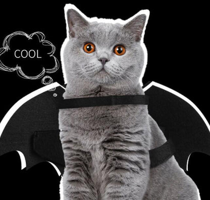 OMNI™ Halloween Luminous Pet Bat Wings