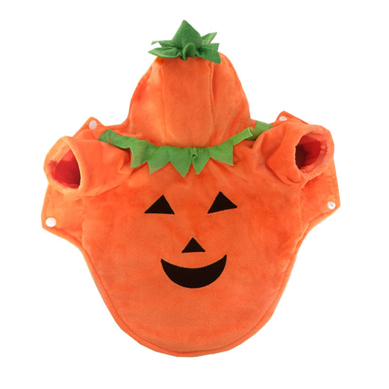 OMNI™ Pets Halloween Pumpkin Costume