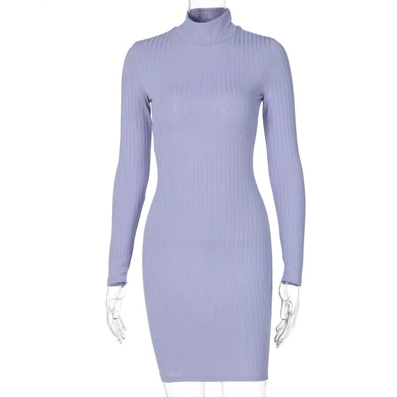 OMNI™ Ribbed Long Sleeve Turtleneck Mini Dress