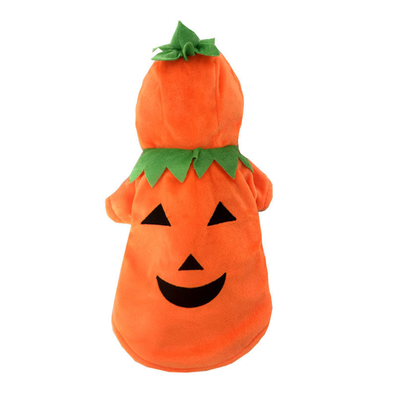 OMNI™ Pets Halloween Pumpkin Costume