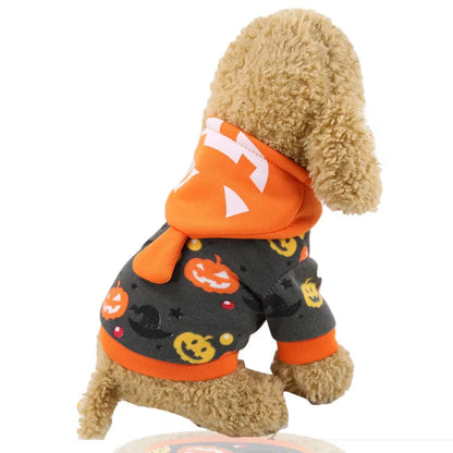 OMNI™ Pets Halloween Pumpkin Hoodie