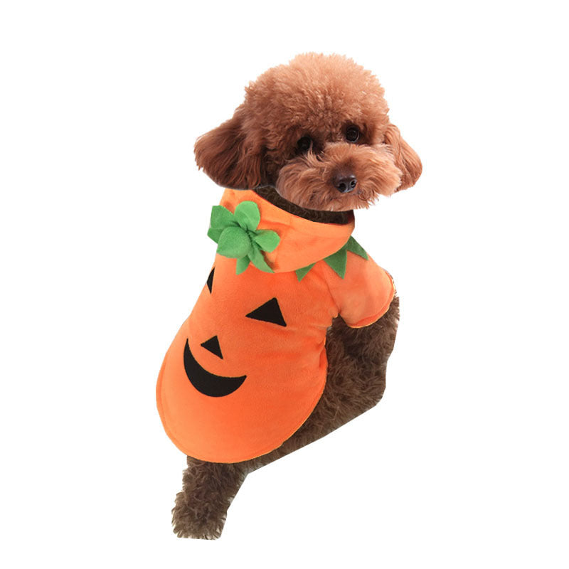 OMNI™ Pets Halloween Pumpkin Costume