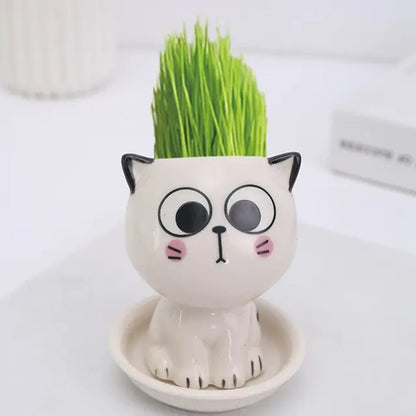 OMNI™ Mini Cat Shaped Cartoon Ceramic Flowerpot