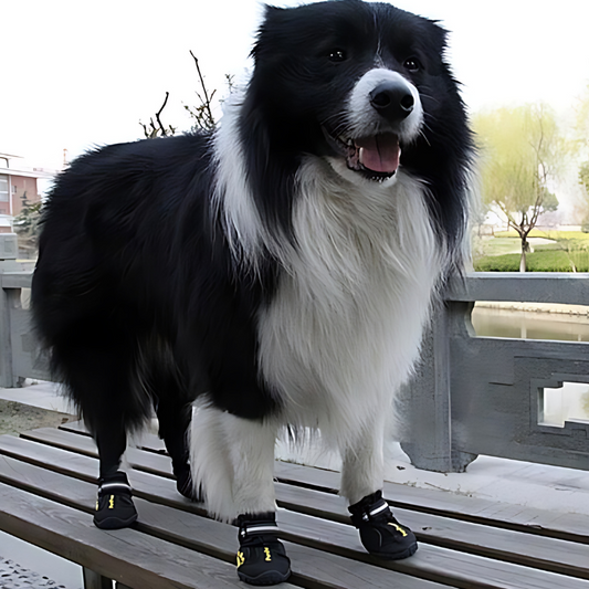 OMNI™ Winter Pet Shoes