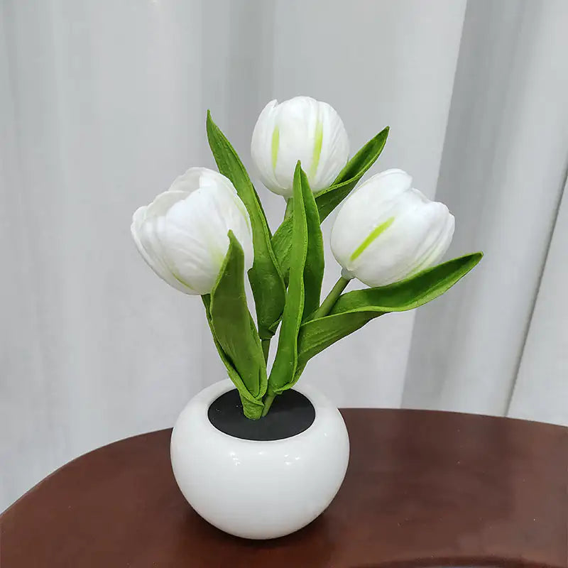 OMNI™ Bonsai Tulip Nightlight