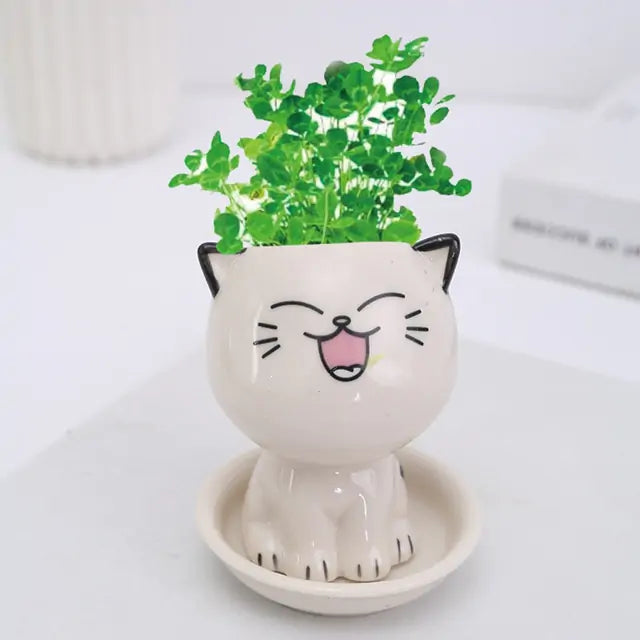 OMNI™ Mini Cat Shaped Cartoon Ceramic Flowerpot