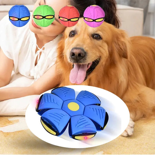 OMNI™ Pets Magic LED UFO Ball