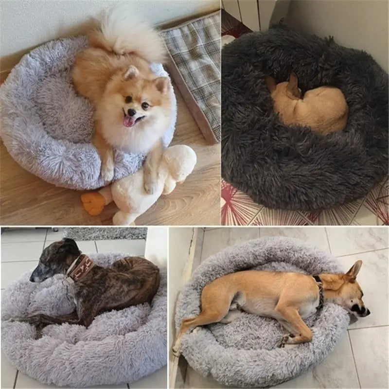 OMNI™ Plush Pet Bed