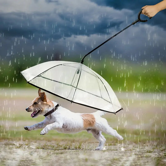 OMNI™ Pet Transparent Umbrella