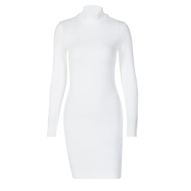 OMNI™ Ribbed Long Sleeve Turtleneck Mini Dress