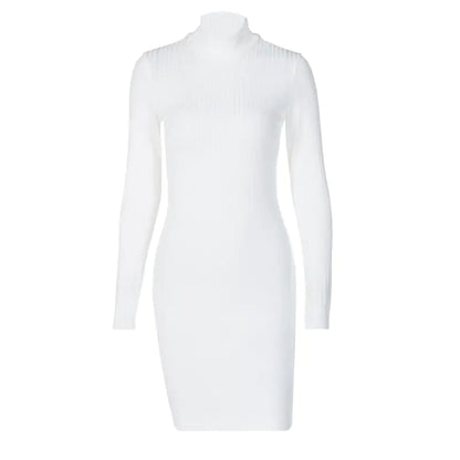 OMNI™ Ribbed Long Sleeve Turtleneck Mini Dress