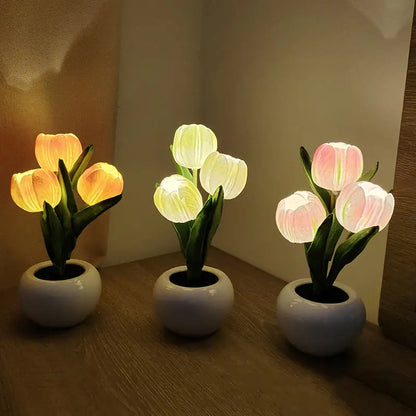 OMNI™ Bonsai Tulip Nightlight